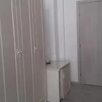 Brilliant Triëst